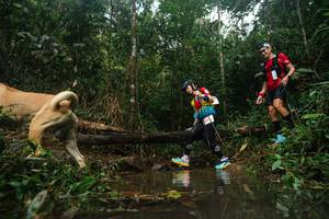 BIB: 
                            <button type="button" onclick="openModal(22489082)" class="btn btn-primary btn-sm float-right btn-popup" data-toggle="modal" data-target=".modal-high-quality">
                        <i class="fas fa-shopping-cart"></i> Add to Cart
                    </button>
                                            <button type="button" onclick="isThisMe(22489082, true)" class="btn btn-success btn-sm float-right btn-popup btn-isme hidden" data-toggle="tooltip" data-placement="bottom" title="นี่คือรูปของคุณใช่ไหม คลิกที่นี่เพื่อเอาเข้าอัลบั้ม">
                        <i class="fas fa-plus"></i> Add to album
                    </button>
                    <button type="button" onclick="isThisMe(22489082, false)" class="btn btn-warning btn-sm float-right btn-popup btn-isnotme hidden">
                        <i class="fas fa-ban"></i> Remove from album
                    </button>